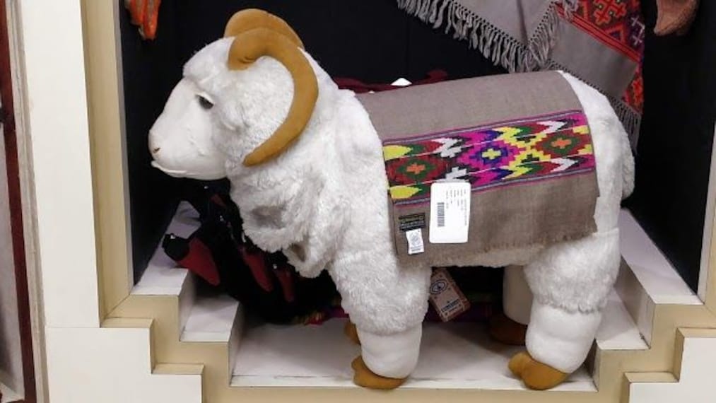 Weavers Co_operative Society_Bhuttico-5